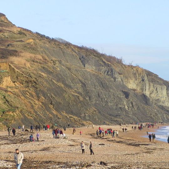 Charmouth Beach