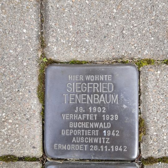 Stolperstein en memoria de Siegfried Tenenbaum