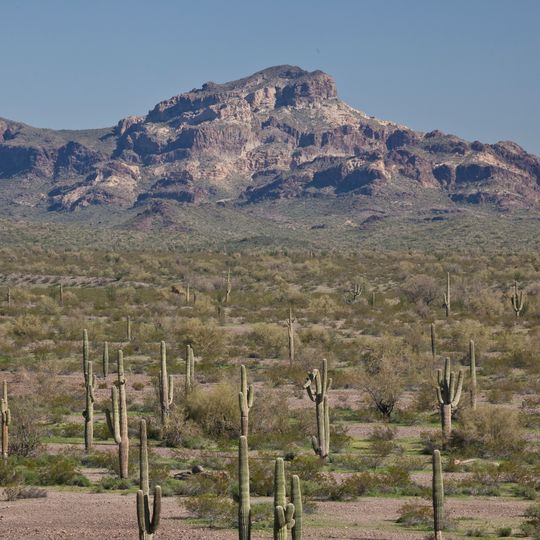 Hummingbird Springs Wilderness