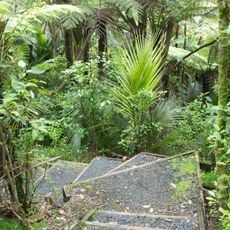 Pohuehue Scenic Reserve
