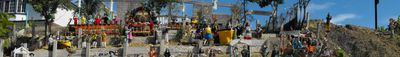 Panoramic View 1
