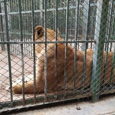 Зоопарк "Хасково"