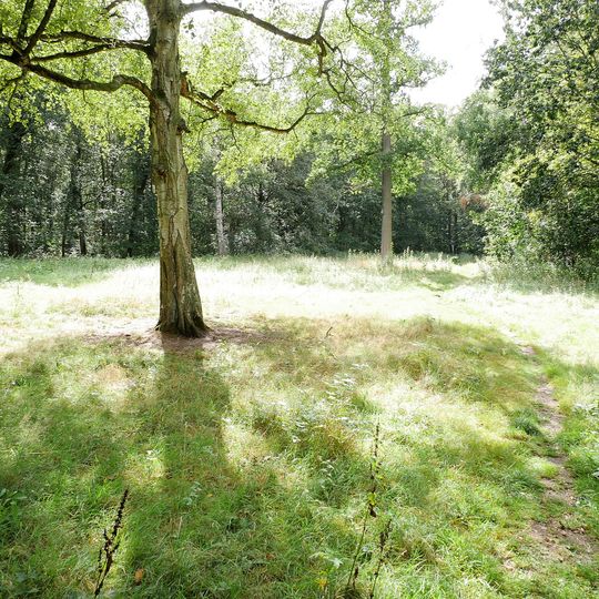 Eilenriede - Natur- und Liegewiese an der Königseiche