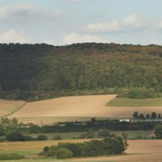 Quast bei Diemelstadt-Rhoden