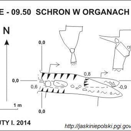 Schron w Organach