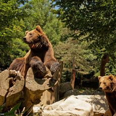 Pyrénées Animal Park