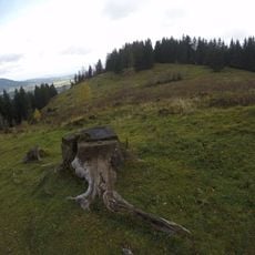 Bucher Berg