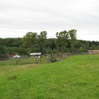 Лавровки (селище)