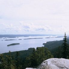 Koli