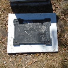 Homenaje al Coronel Francisco Bolognesi