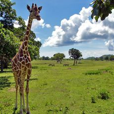 Calauit Safari Park