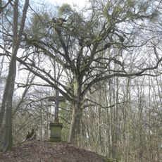 Linde von Ungedanken