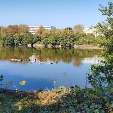 Numai Park