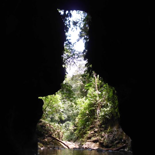 Parco nazionale di Yurubí