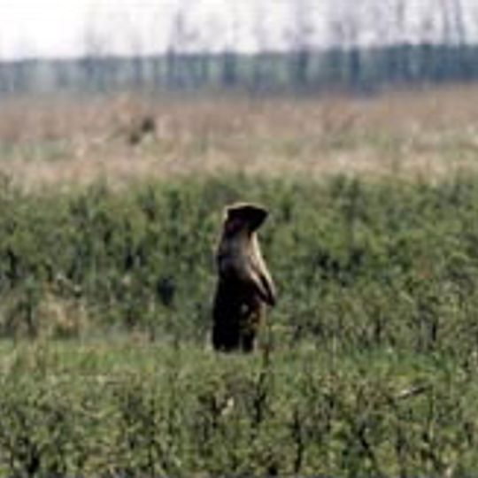 Striltsevsky Steppe Nature Reserve