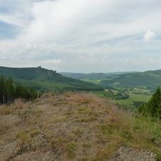 Ginsterkopf