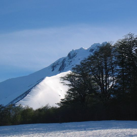 Mocho-Choshuenco National Reserve
