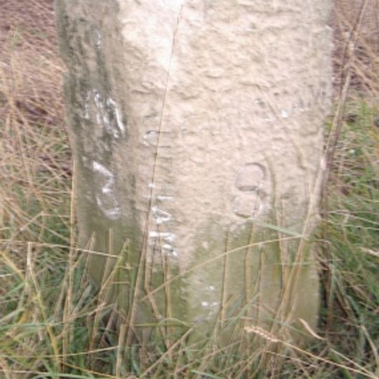 Milestone, 300yds W of X-tracks