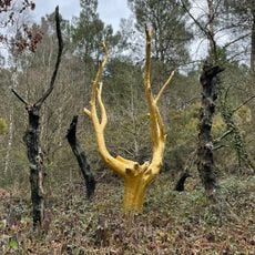 L'Arbre d'Or
