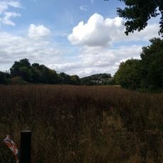 Scharenberg