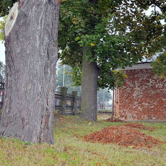 Cmentarz choleryczny w Zwoleniu