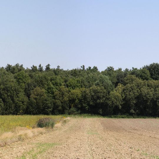 Hügelgräberfeld Haidspitzwald