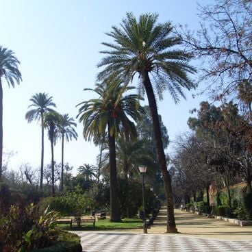 Historical and cultural sites in Seville