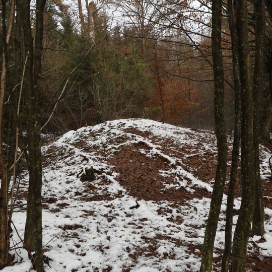 Barrow cemetery Kaiserwald