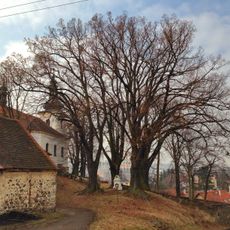 Lípy ve Skoroticích