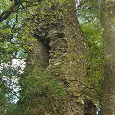 Creevekeeran Castle