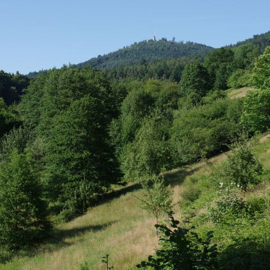 Sauersbosch, Pfrimmersbach- und Märzenbachtal