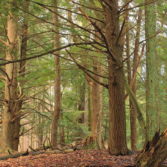 Parker Dam State Park