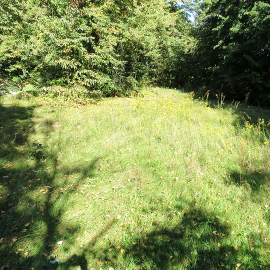 Cmentarz żydowski w Zakroczymiu