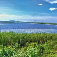 Prowincja Nakhon Sawan