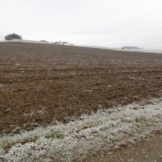 Freiflächen Thülener Bruch/Schwarzes Haupt/Rösenbeck