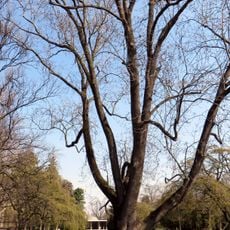 Spa park in Poděbrady