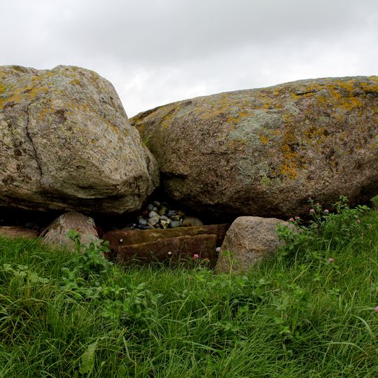 Runddysse von Toreby