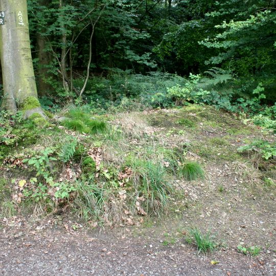 Wallburg bei Müngsten