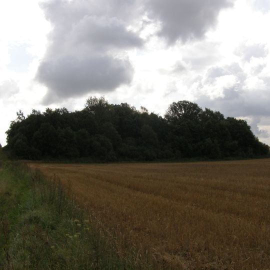 Auksūdžio II piliakalnis