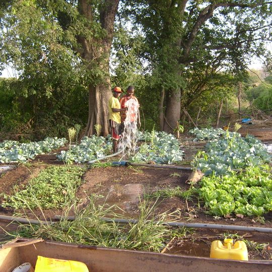 Dipartimento di Kédougou