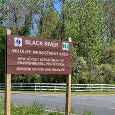 Black River Wildlife Management Area