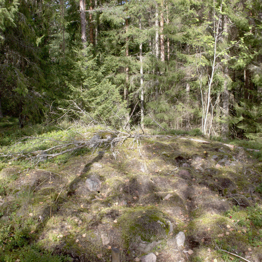 Kiviumpaidanmäki eli Pellasmäki