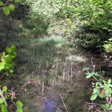 Feuchtgebiet Oberholz I