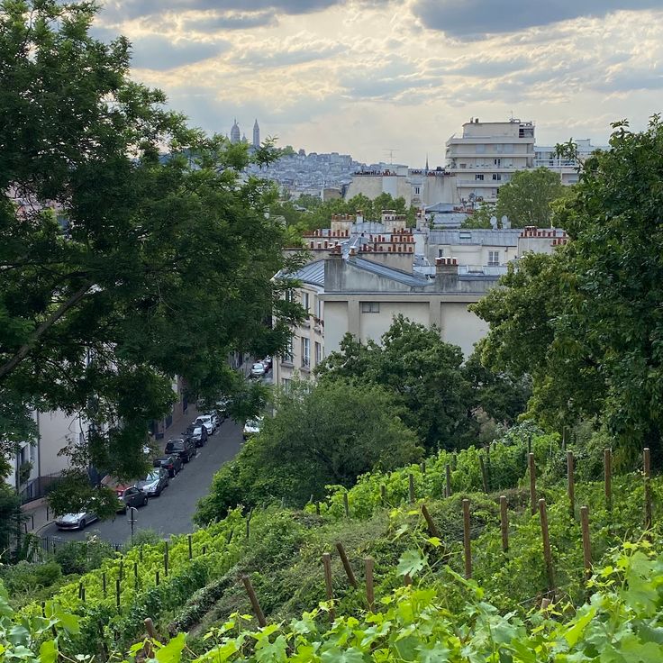 Garden of the Bergeyre Hill