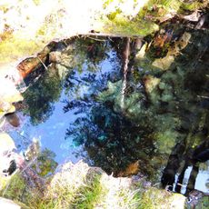 Sulphur Spring Conservation Area