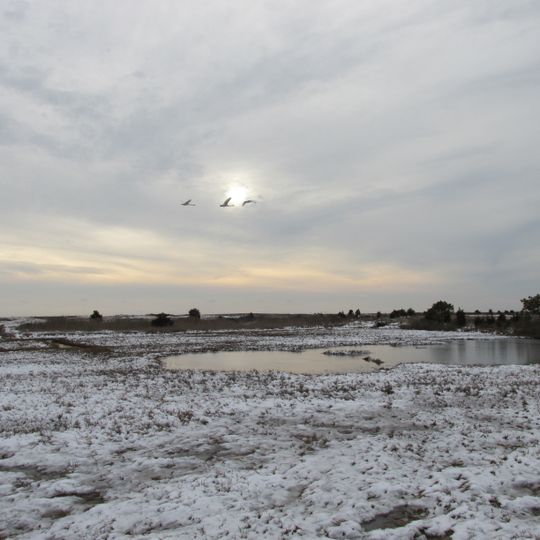 South Cape Beach State Park