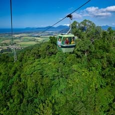 Skyrail Rainforest Cableway