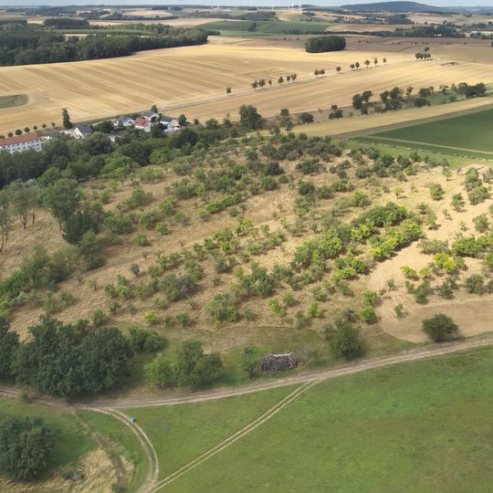 Streuobstwiese in Penig am Stadtgut 2