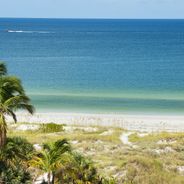 Em Tampa Bay, os terraços no topo dos edifícios tornam-se pontos de vista sobre a baía e o golfo.