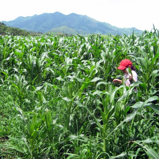 Dipartimento di Nueva Segovia